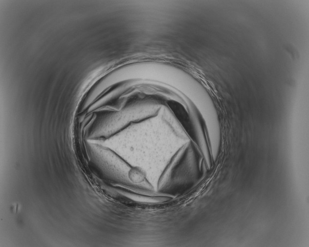 X0000111580340200908131323