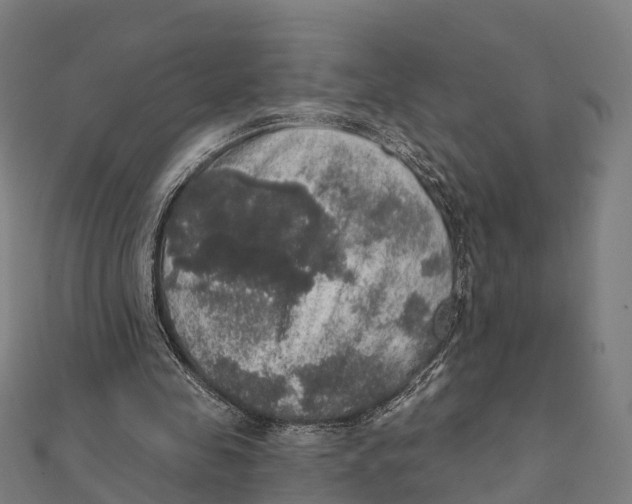 X0000111580341200908131323