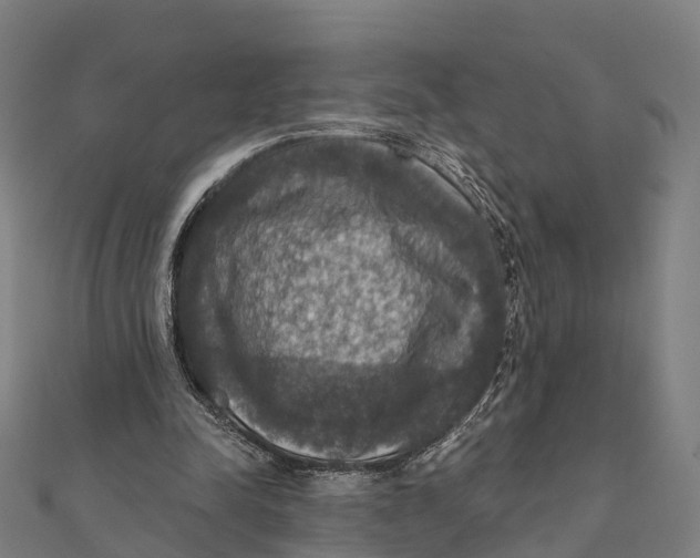 X0000111580342200908131323