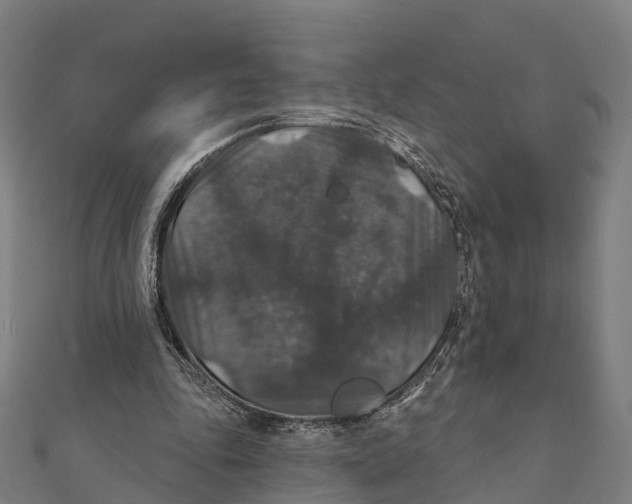 X0000111580343200908131323