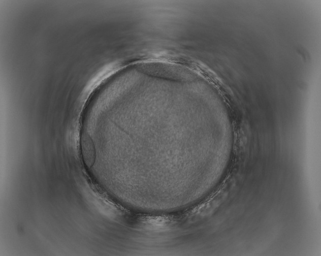 X0000111580344200908131323