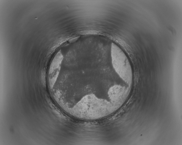 X0000111580345200908131323