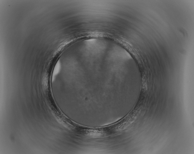 X0000111580347200908131323