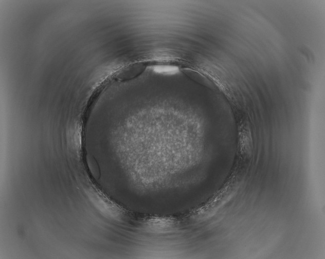 X0000111580350200908131324