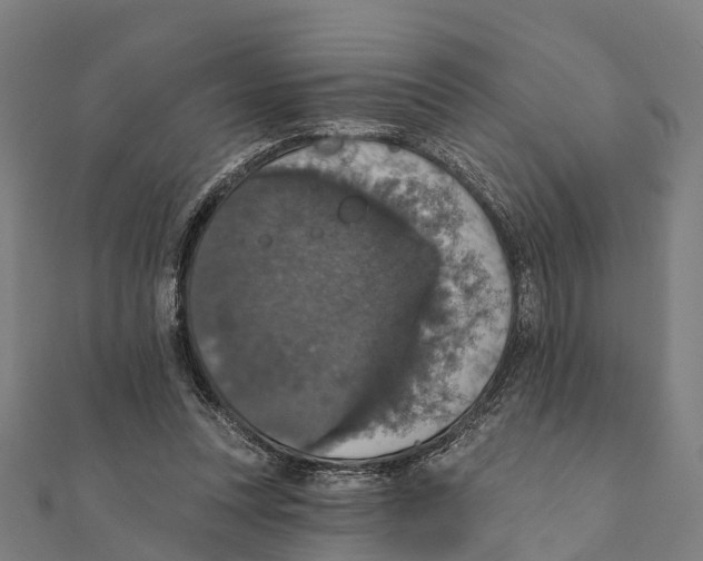 X0000111580351200908131324