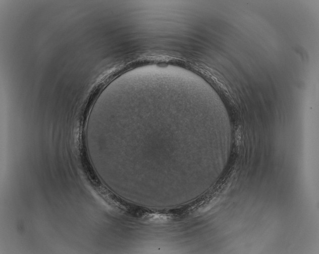 X0000111580352200908131324