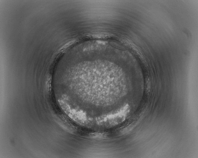 X0000111580356200908131324