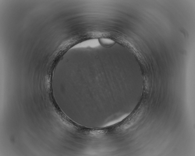 X0000111580357200908131324