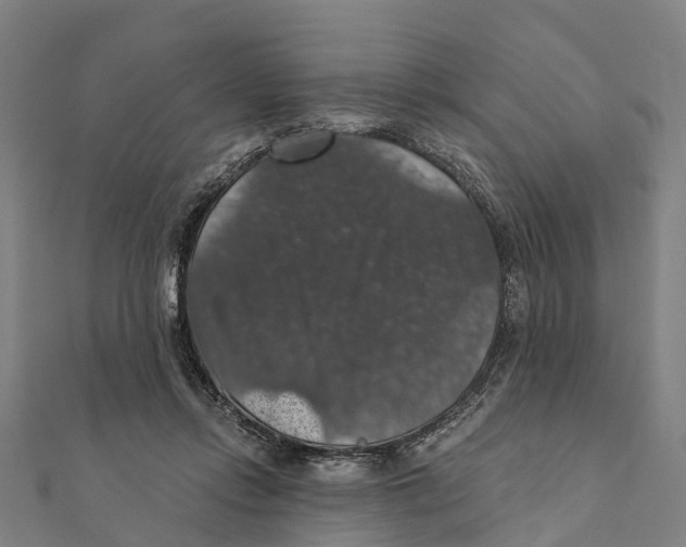 X0000111580358200908131324