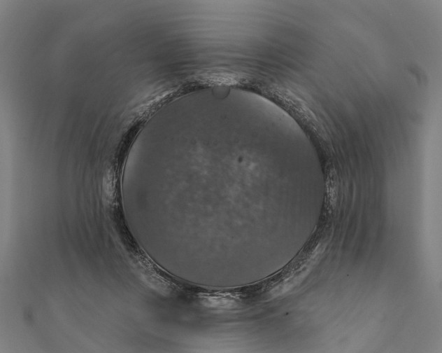 X0000111580359200908131324