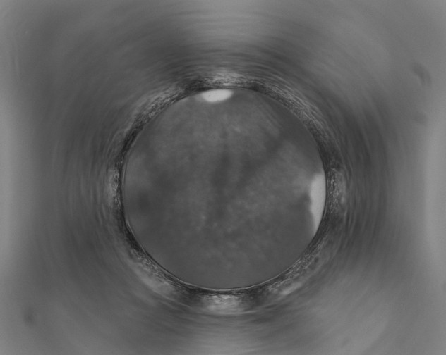 X0000111580361200908131324