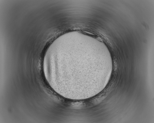 X0000111580362200908131324