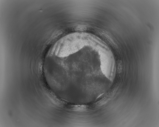 X0000111580363200908131324