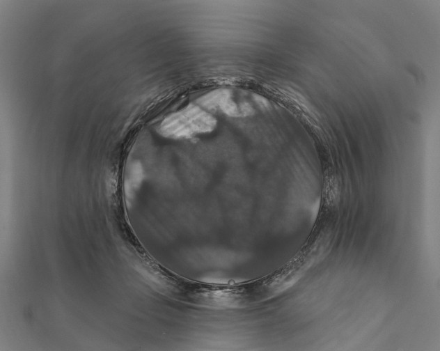 X0000111580365200908131324