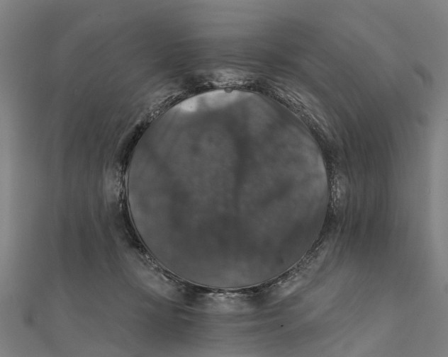 X0000111580367200908131324