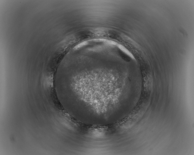 X0000111580368200908131324