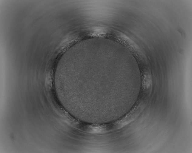 X0000111580370200908131324