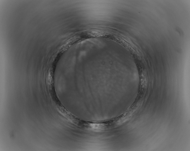 X0000111580371200908131324