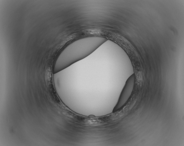 X0000111580372200908131324