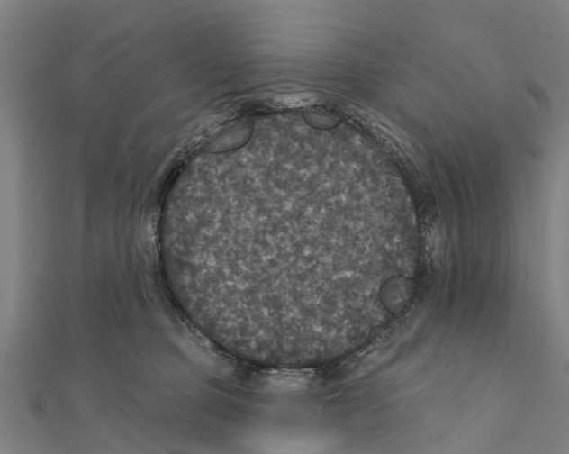 X0000111580373200908131324