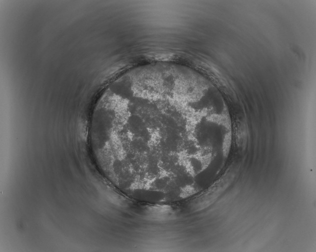 X0000111580374200908131324