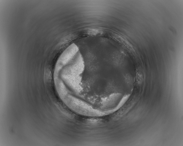 X0000111580375200908131324