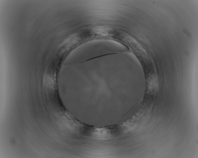 X0000111580376200908131324