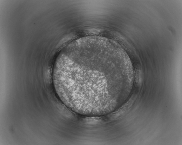 X0000111580378200908131324