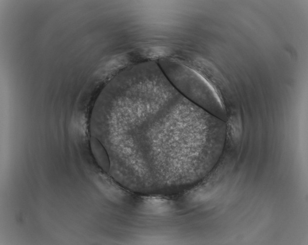 X0000111580380200908131324