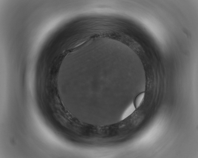 X0000111580383200908131324