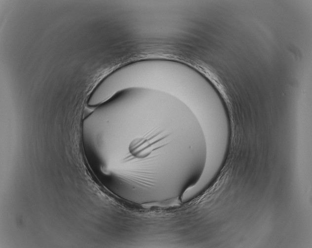 X0000111580385200908131323