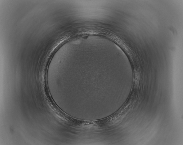 X0000111580386200908131323