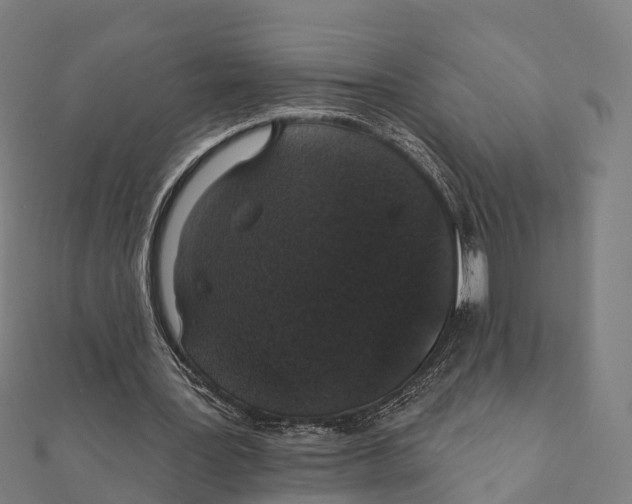 X0000111580387200908131323