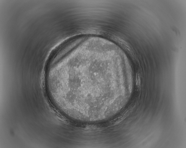 X0000111580388200908131323