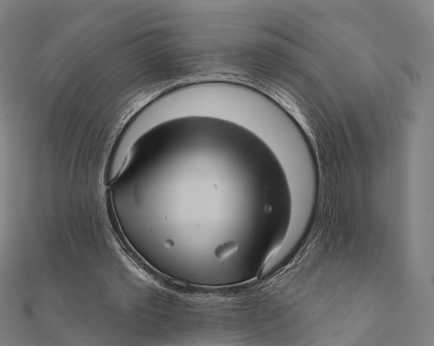 X0000111580389200908131323