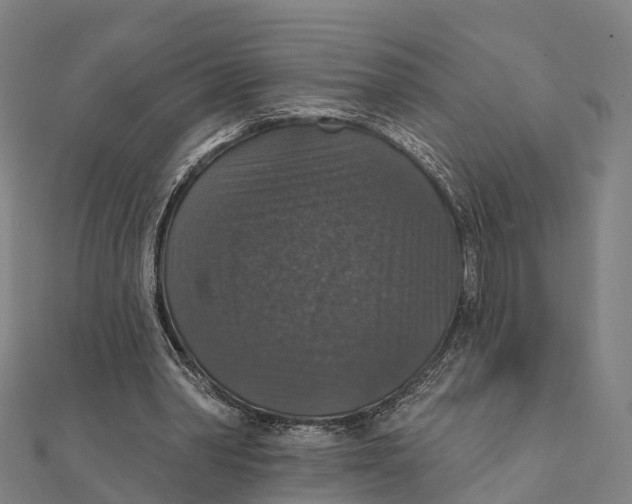 X0000111580390200908131323