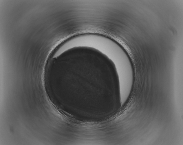 X0000111580391200908131323