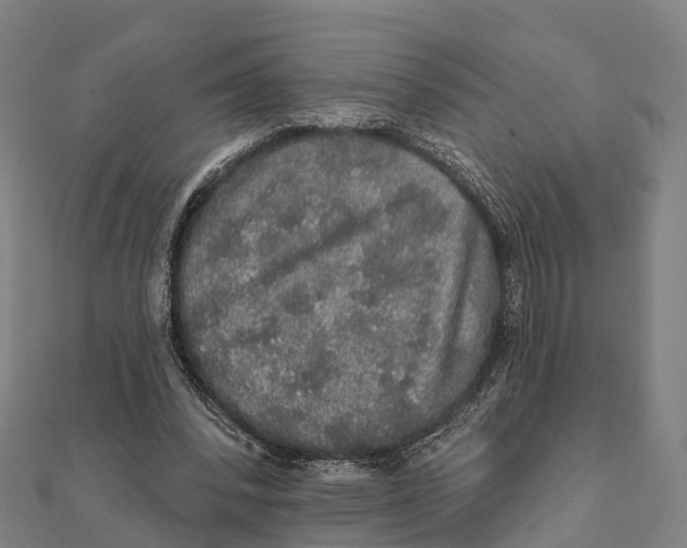 X0000111580392200908131323