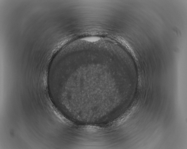 X0000111580393200908131323