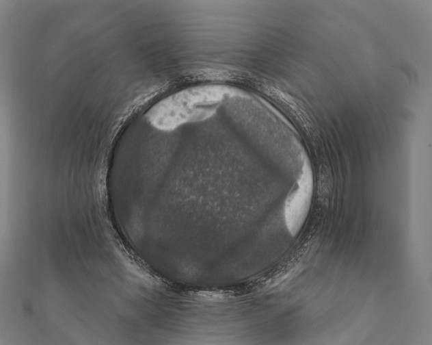 X0000111580394200908131323