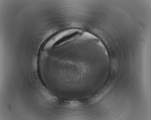 X0000111580395200908131323