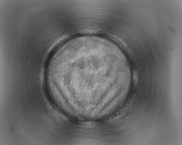 X0000111580396200908131323