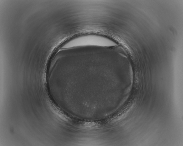 X0000111580399200908131323