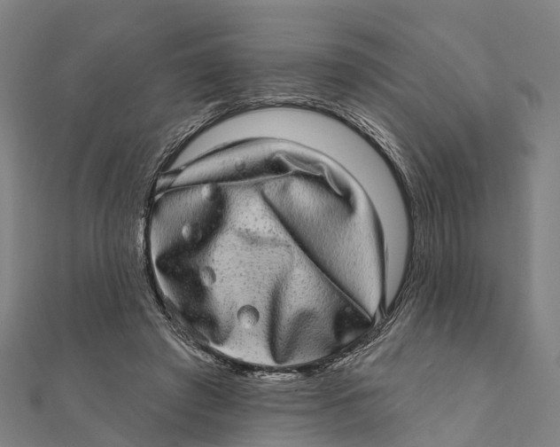 X0000111580401200908131323