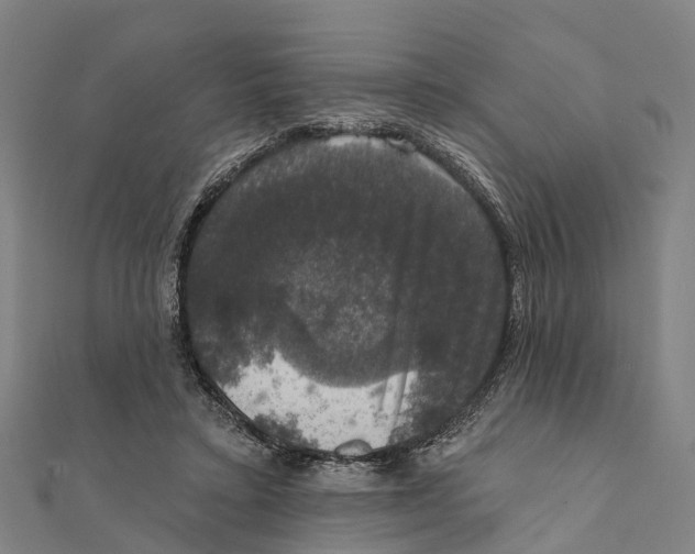 X0000111580403200908131323