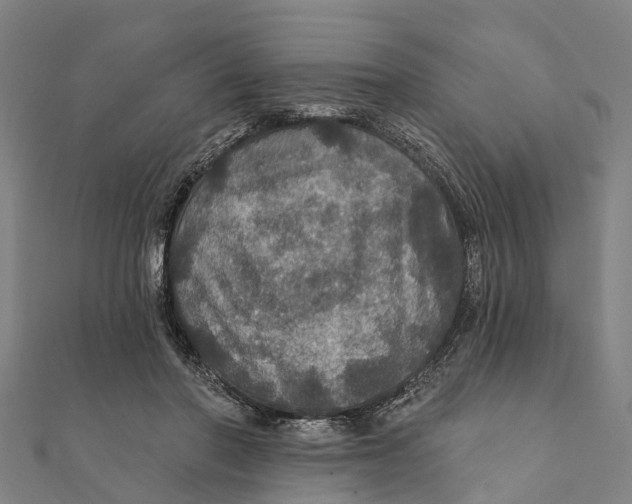 X0000111580406200908131323