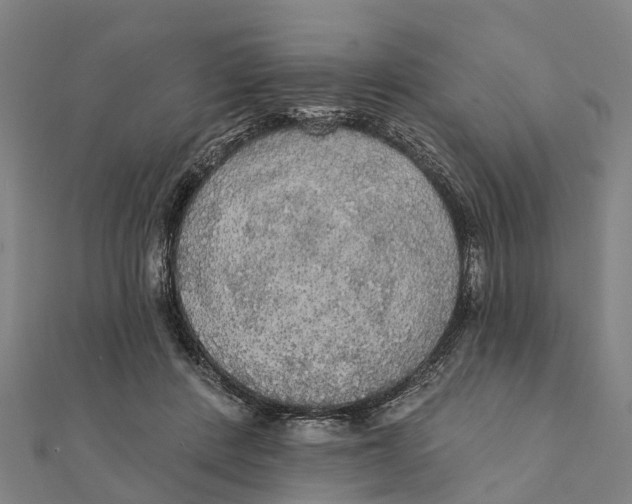 X0000111580408200908131323