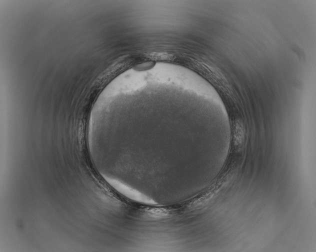 X0000111580409200908131323