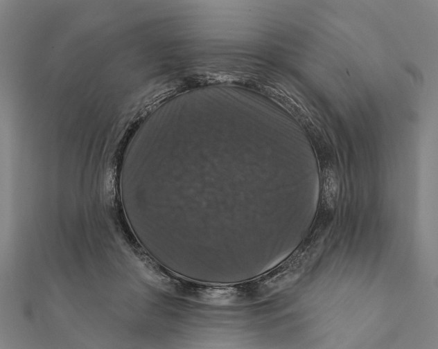 X0000111580410200908131323