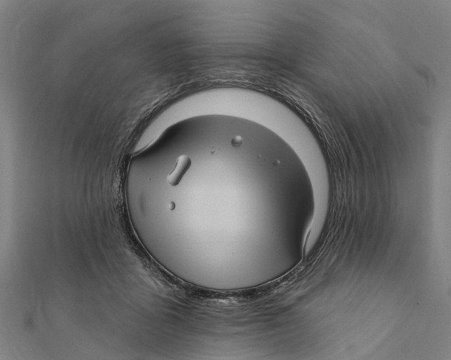 X0000111580411200908131323